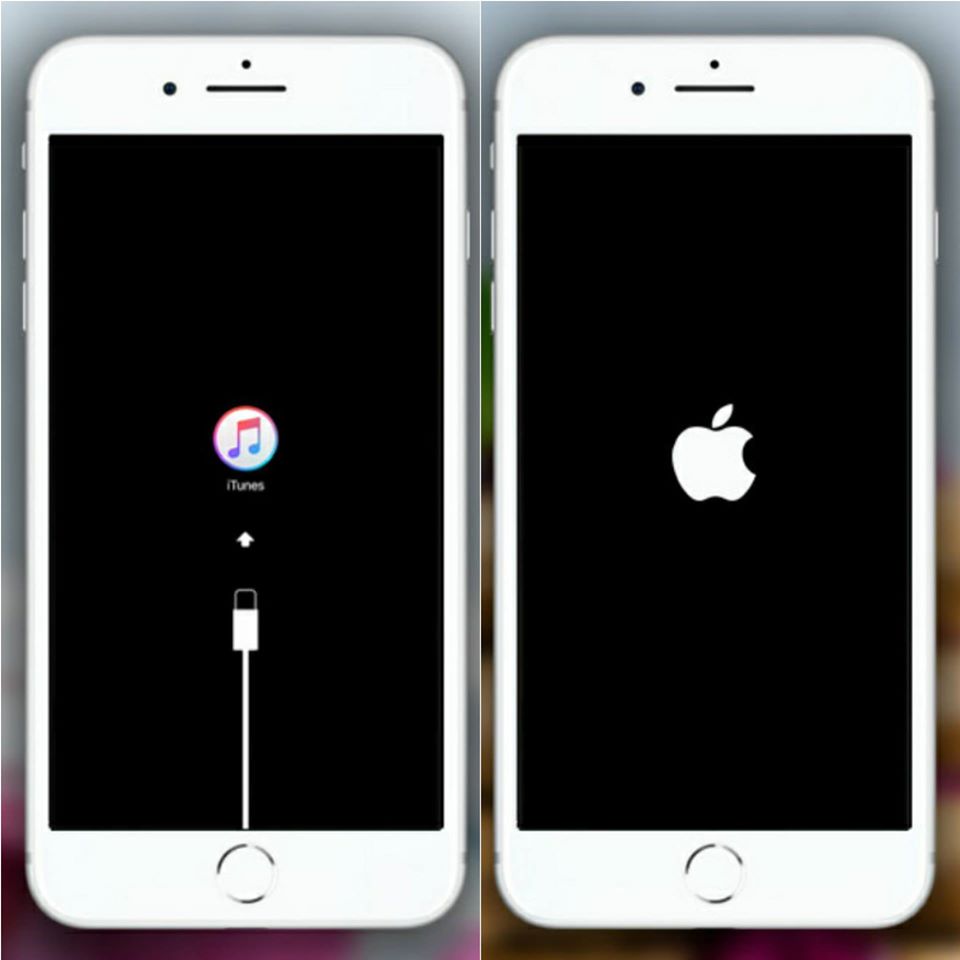 リンゴループ解消 Iphoneの画面上にエラー表示が アイフォン ライフ