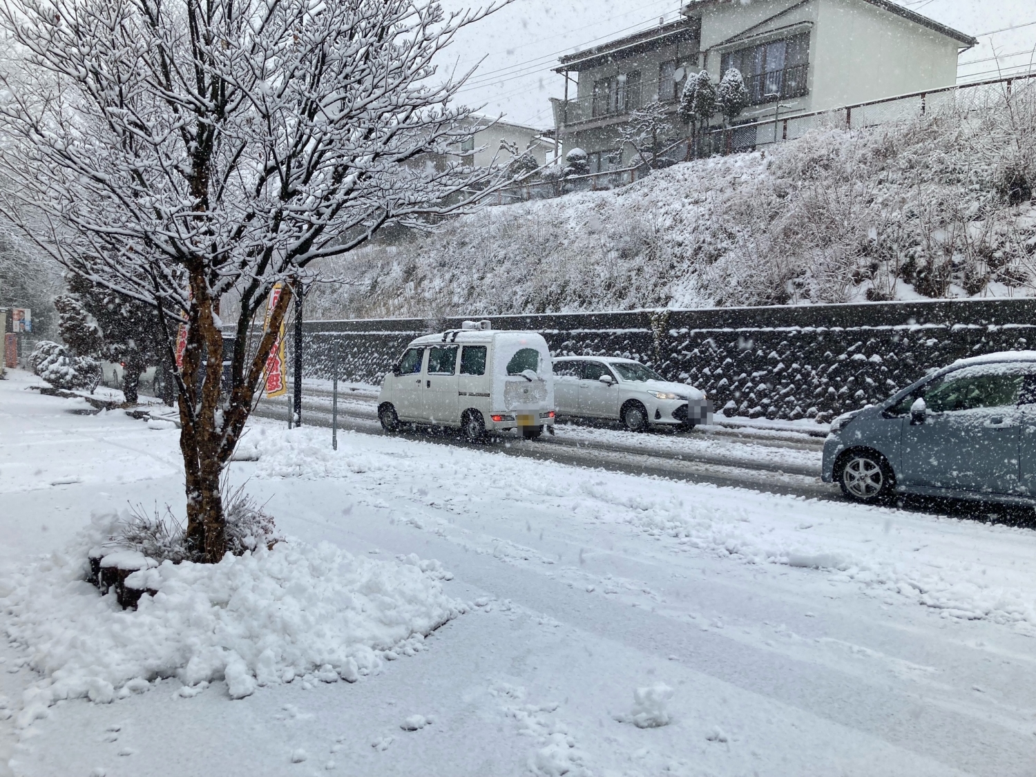 本日3月3日(月)は積雪！ご来店の際はお足元に十分お気を付けください。