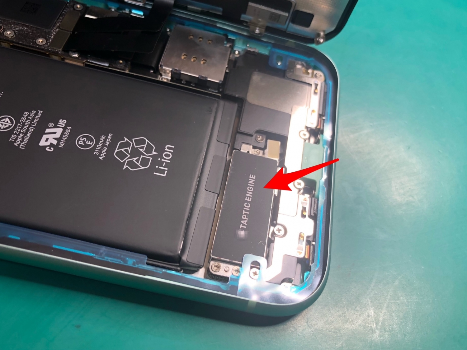 iPhoneの振動がガタつく？バイブレーター（Taptic Engine）の固定ネジが緩んでいるかも。