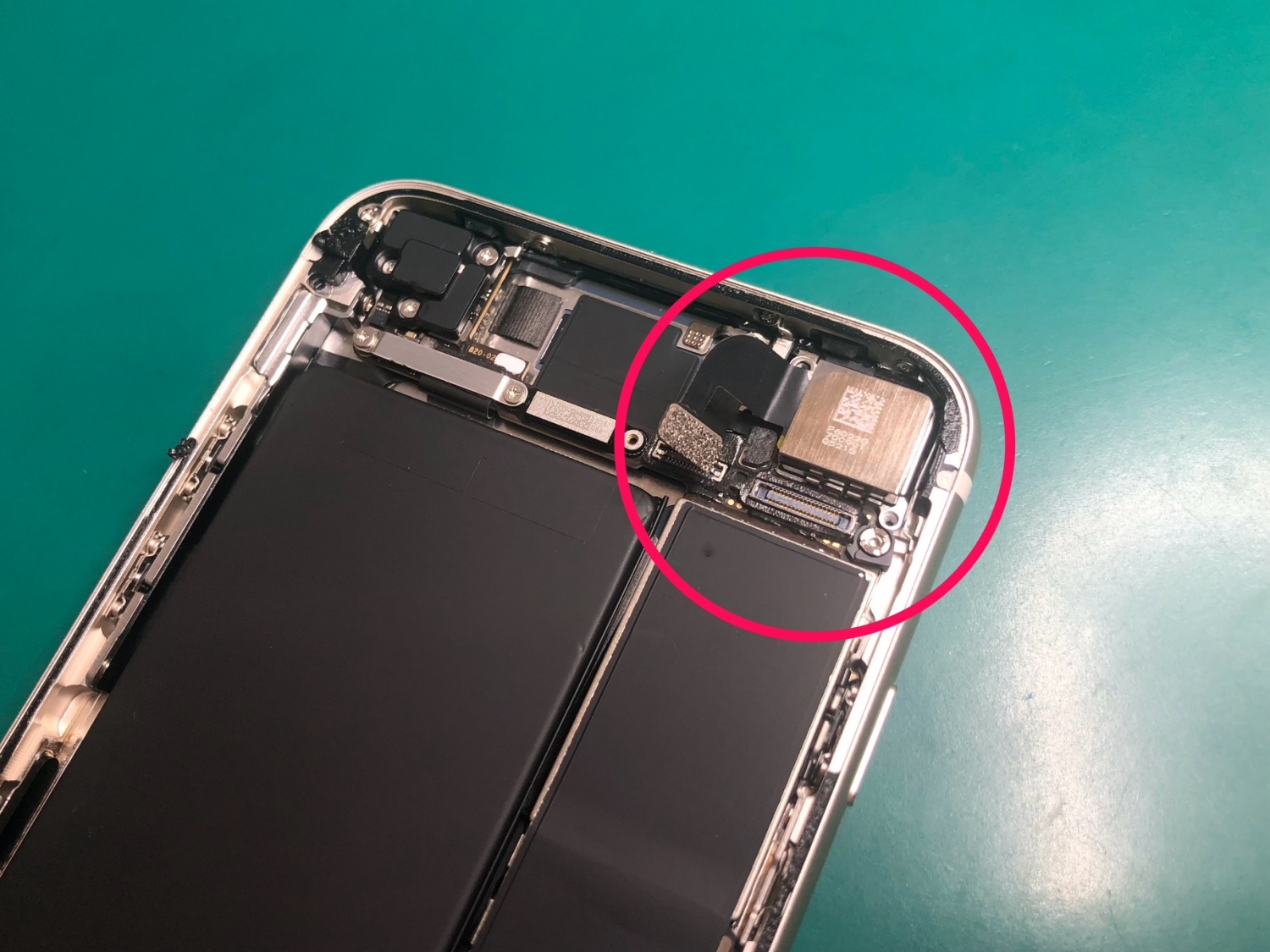 iPhone SE (第3世代) カメラのみ使えません iPhone SE (第3世代) カメラのみ使えません 実写レビュー