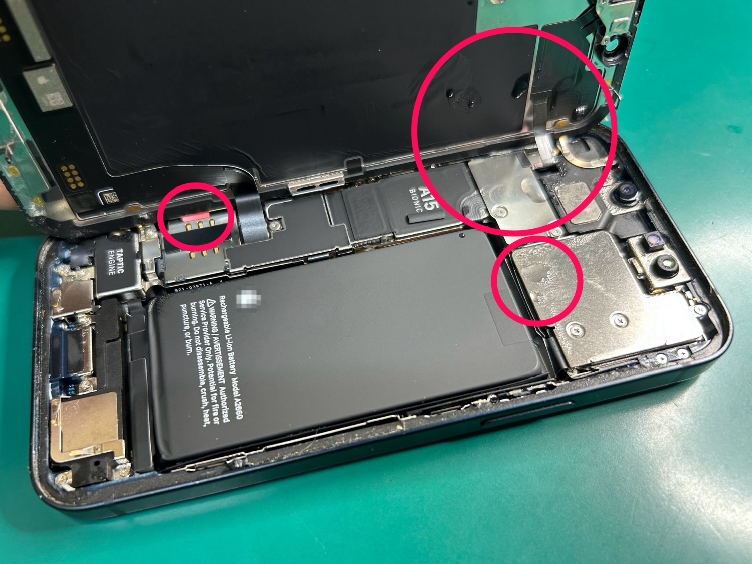 浴槽に落として水没のiPhone 13mini、翌日リンゴループに！分解乾燥で無事に起動しました。